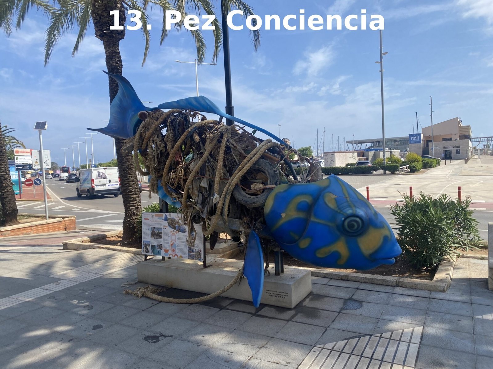 Pez Conciencia